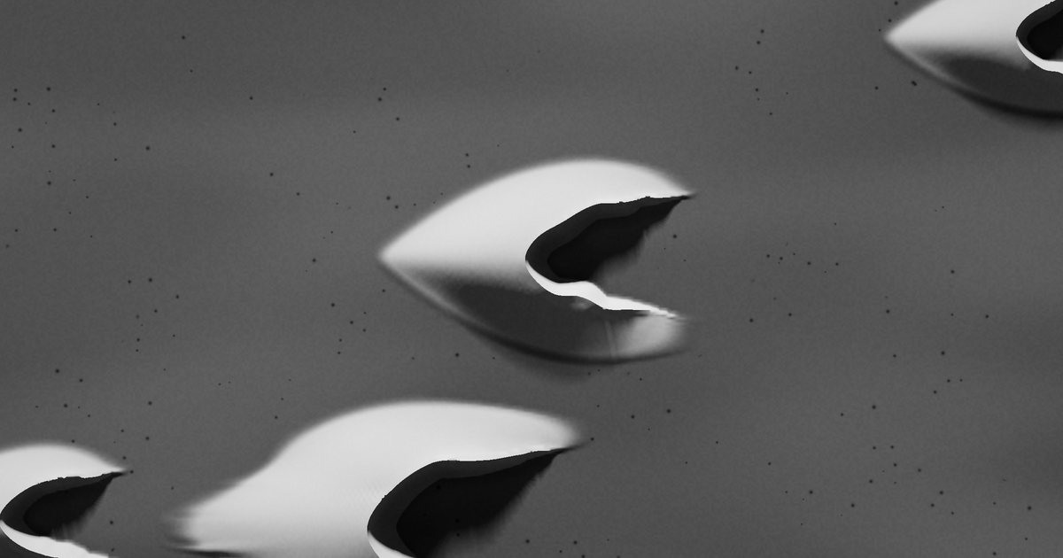 Lee, a still from the live piece